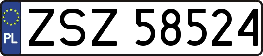 ZSZ58524