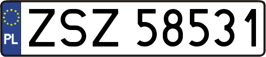 ZSZ58531