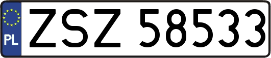 ZSZ58533
