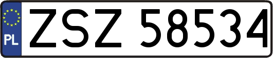 ZSZ58534