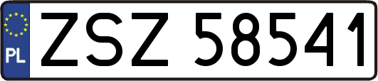 ZSZ58541