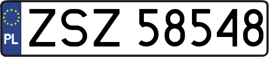 ZSZ58548