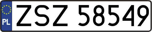 ZSZ58549