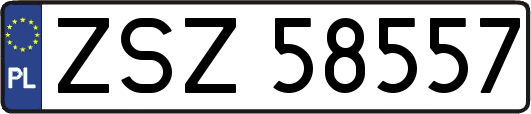 ZSZ58557