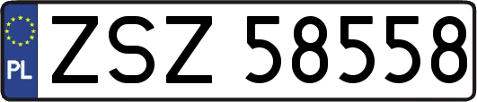 ZSZ58558