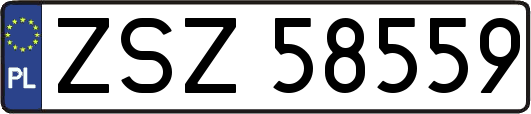 ZSZ58559