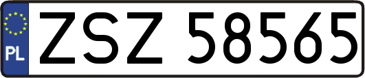 ZSZ58565