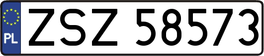 ZSZ58573