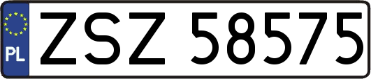 ZSZ58575