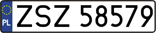 ZSZ58579