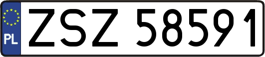 ZSZ58591