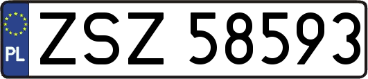 ZSZ58593