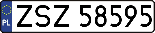 ZSZ58595