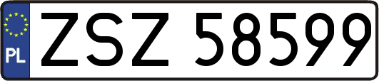 ZSZ58599