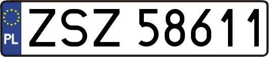 ZSZ58611