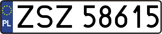 ZSZ58615