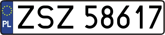 ZSZ58617