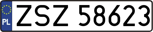 ZSZ58623