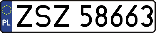 ZSZ58663