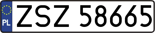 ZSZ58665