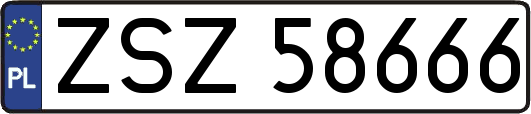 ZSZ58666