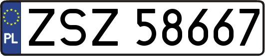 ZSZ58667