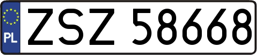 ZSZ58668