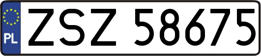 ZSZ58675