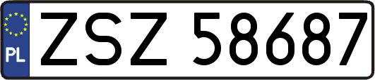 ZSZ58687