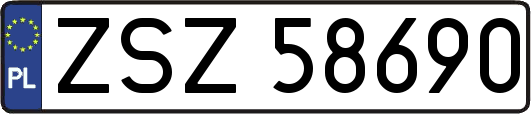 ZSZ58690