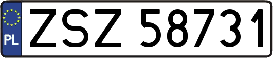ZSZ58731