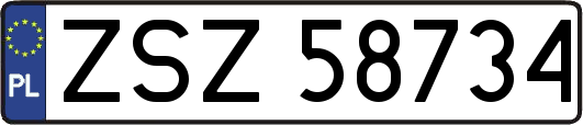 ZSZ58734