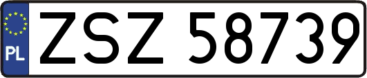 ZSZ58739