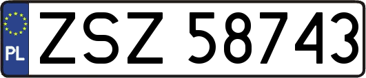 ZSZ58743