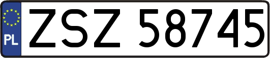 ZSZ58745