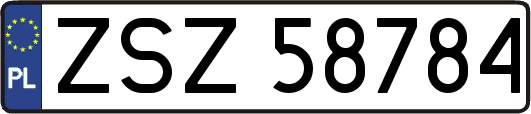 ZSZ58784