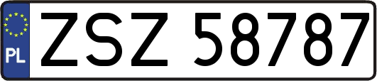 ZSZ58787