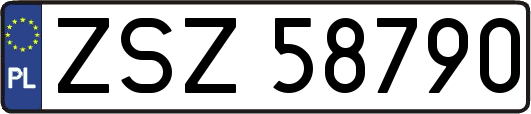 ZSZ58790