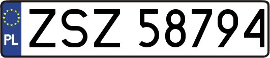 ZSZ58794