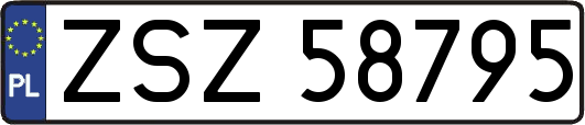 ZSZ58795