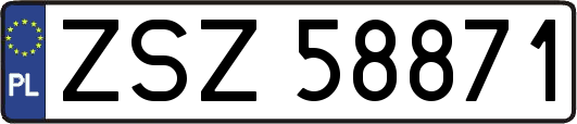 ZSZ58871