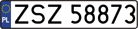 ZSZ58873
