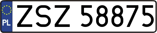 ZSZ58875