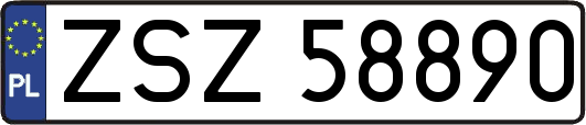 ZSZ58890