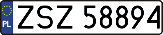 ZSZ58894