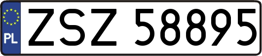 ZSZ58895