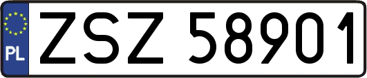ZSZ58901