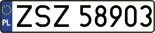 ZSZ58903