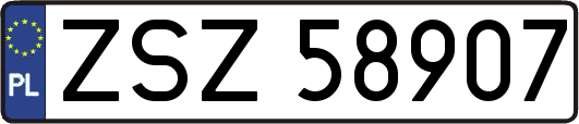 ZSZ58907