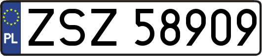ZSZ58909